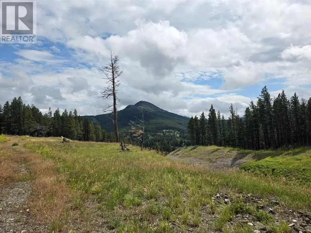 #4, 5302 19th Avenue, Coleman, Alberta T0K 0M0