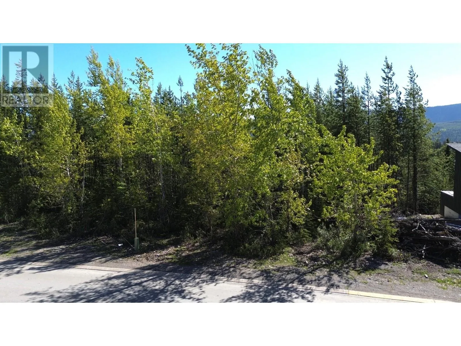 Other for rent: 4 Dallas Place, Elkford, British Columbia V0B 1H0