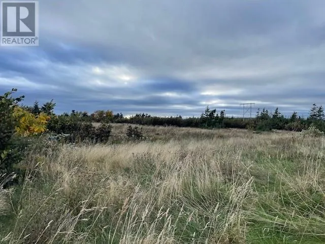 4 Gabriel Drive, Port Au Port East, Newfoundland & Labrador A0N 1T0