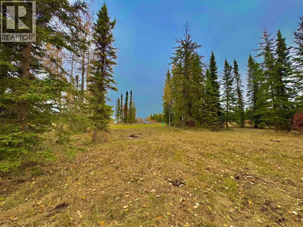 401 Valley View Close, Rural Clearwater County, Alberta T4T 1A7