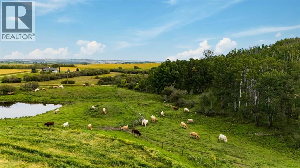 402 Avenue, Rural Foothills County, Alberta T1V 2E0