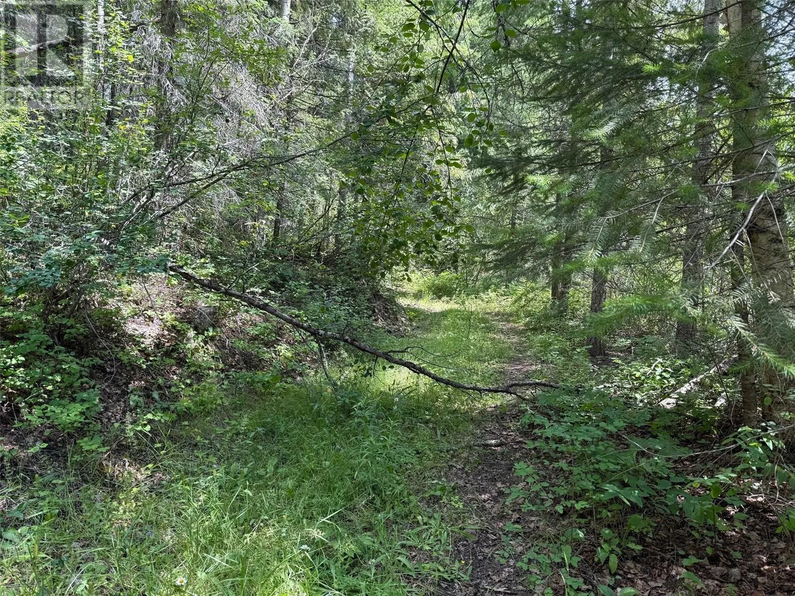 Other for rent: 4069 East Barriere Lake Road, Barriere, British Columbia V0E 1E0