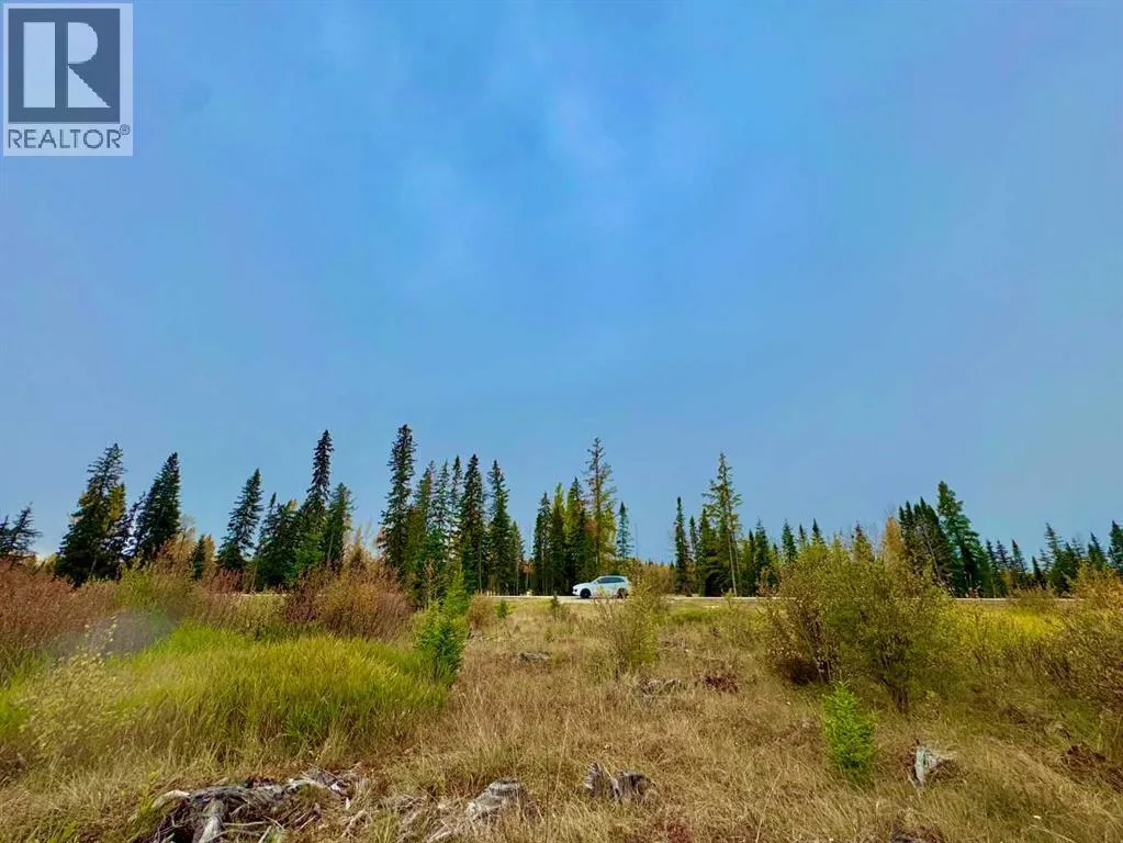 408 Valley View Close, Rural Clearwater County, Alberta T4T 1A7