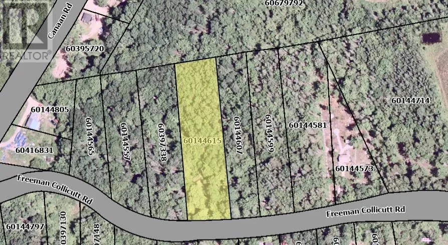 41 Freeman Collicutt Road, Canaan, Nova Scotia B0J 1J0