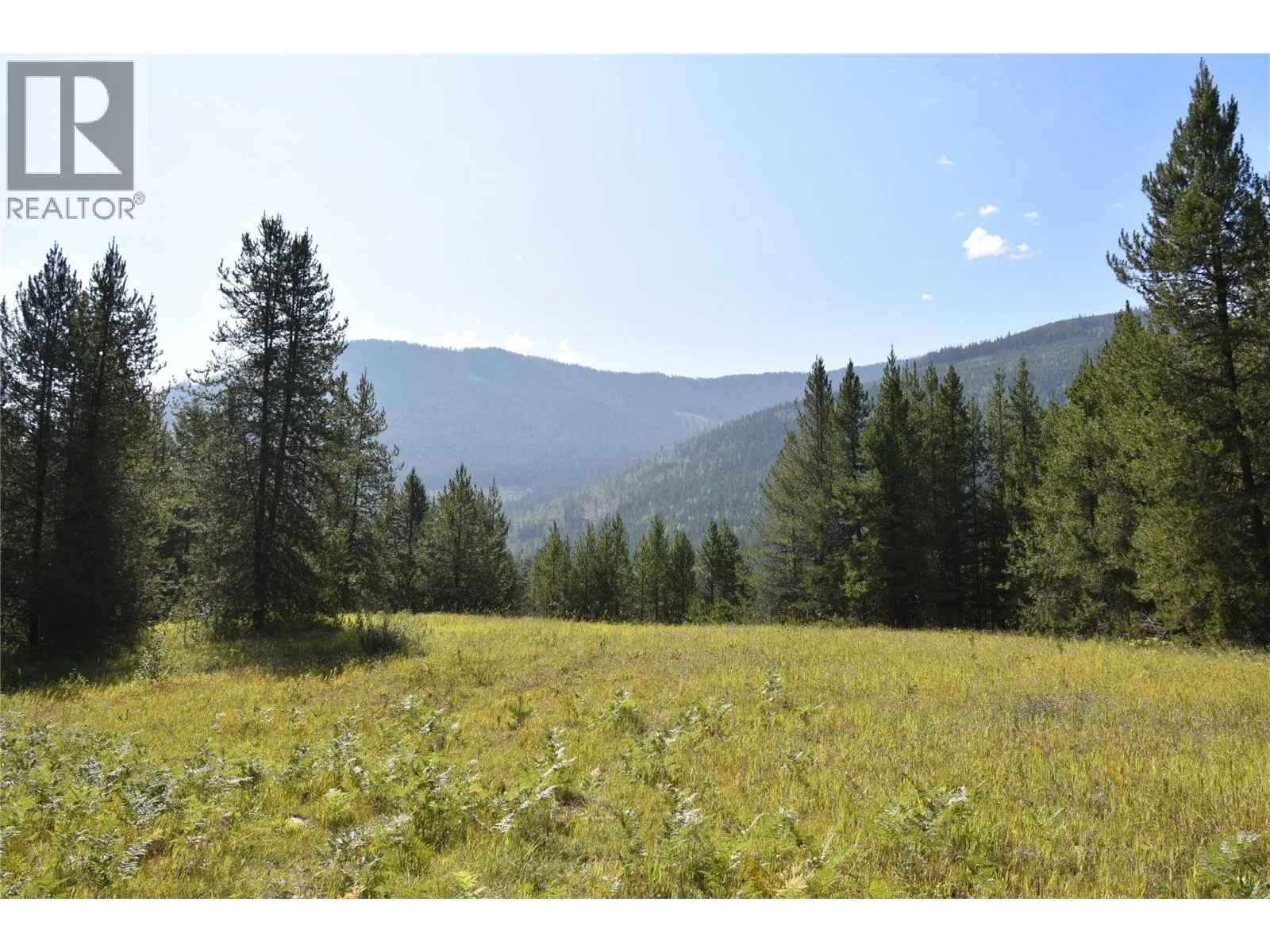 Other for rent: 4125 Ross Spur Road, Fruitvale, British Columbia V0G 1L1