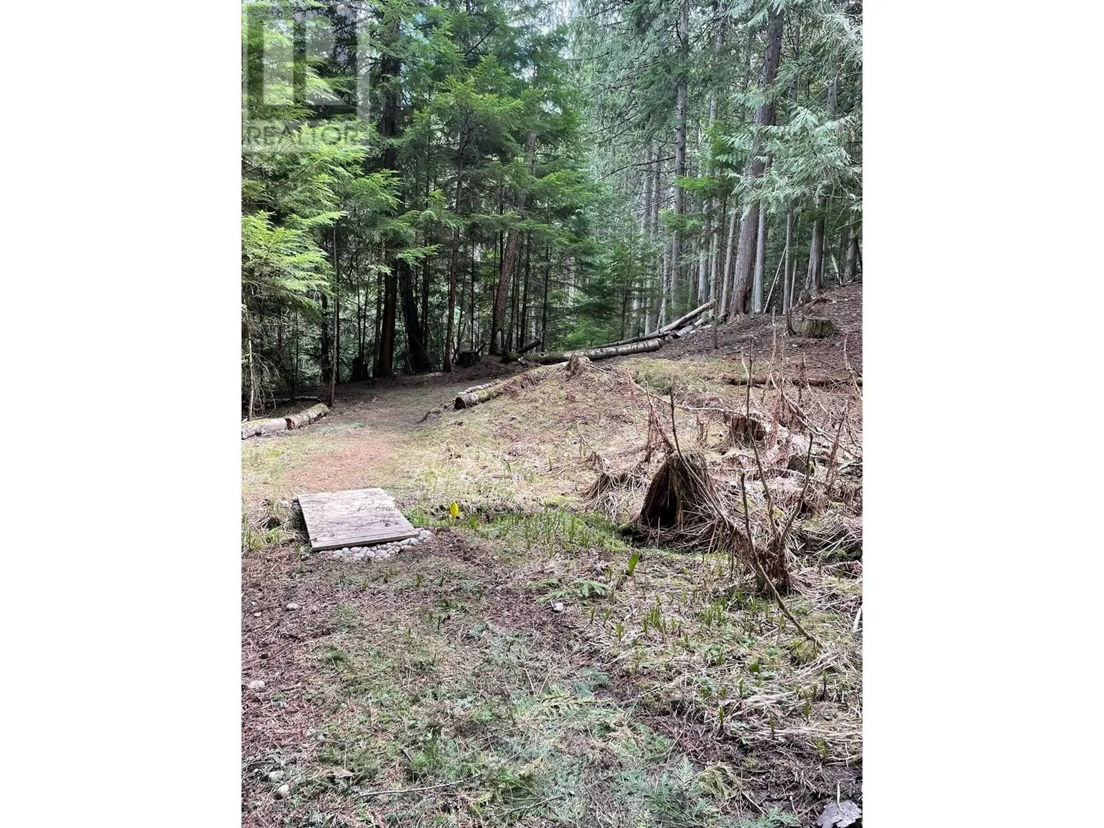 Other for rent: 4144 Passmore Upper Road, Winlaw, British Columbia V0G 1M0