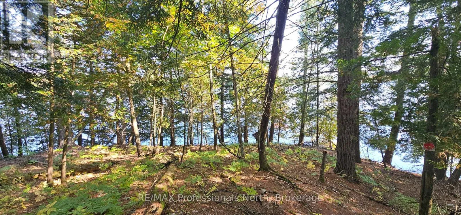 416 Swallowdale Road, Huntsville, Ontario P1H 0A5