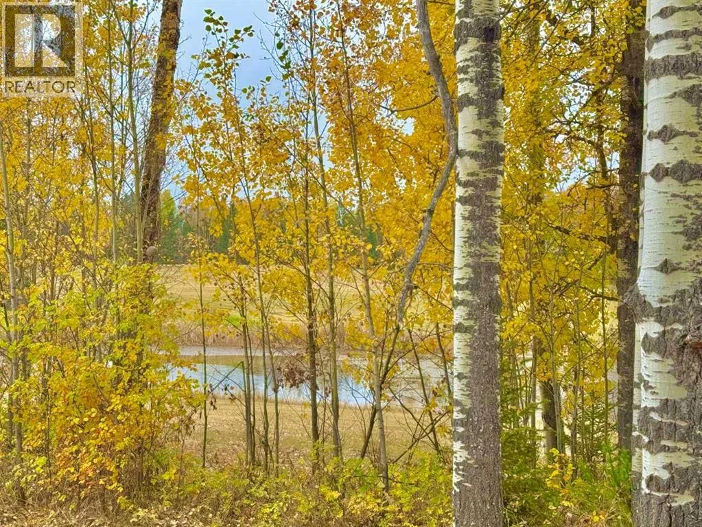 417 Valley View Close, Rural Clearwater County, Alberta T4T 1A7