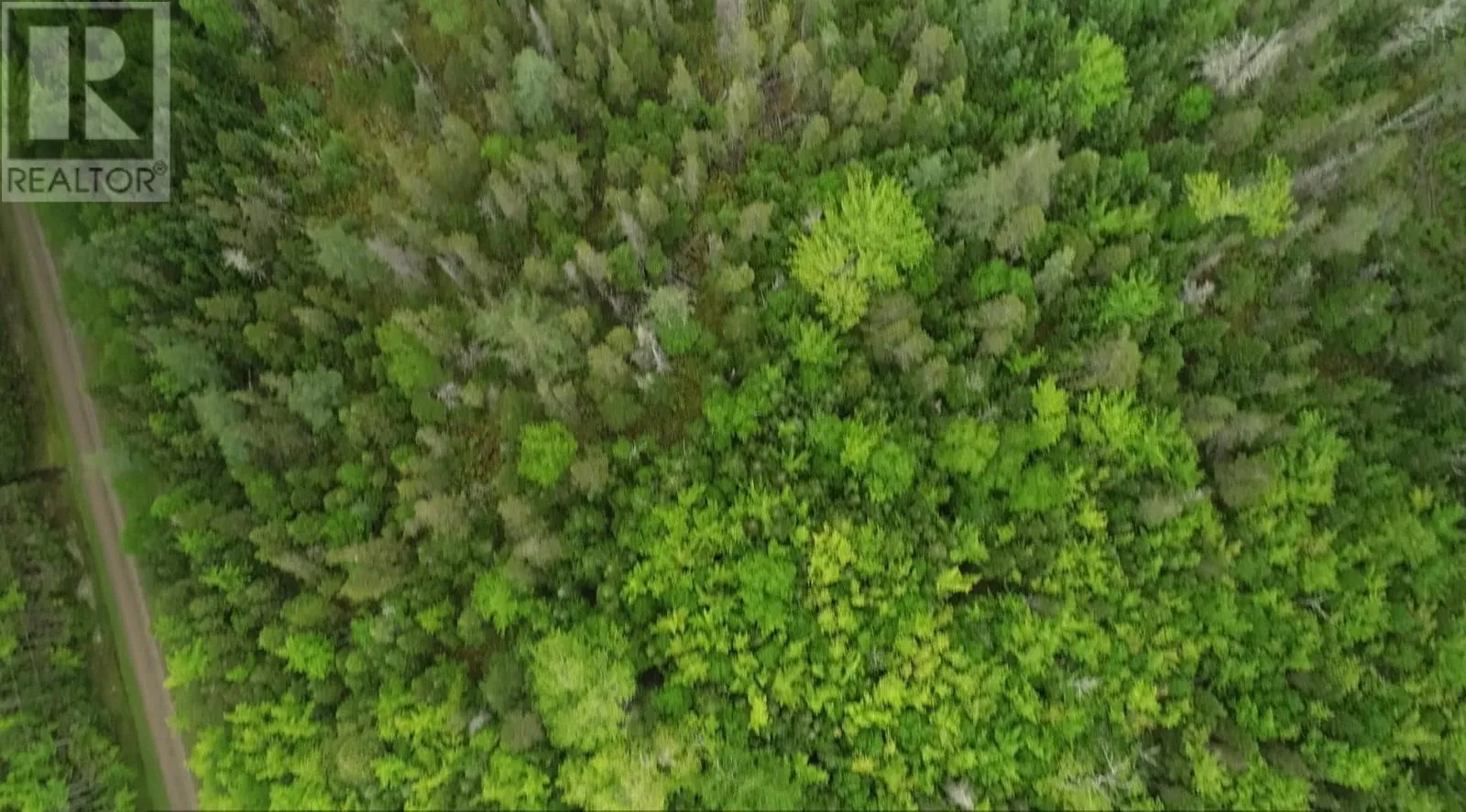 41a Widow Point Loop, Inverness, Nova Scotia B0E 1N0