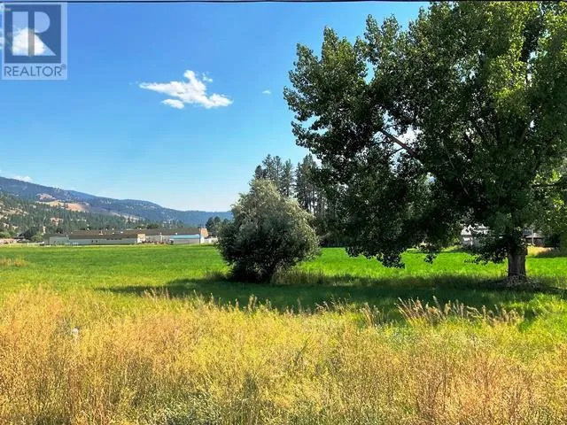 Other for rent: 420 Ninth Avenue, Midway, British Columbia V0H 1M0