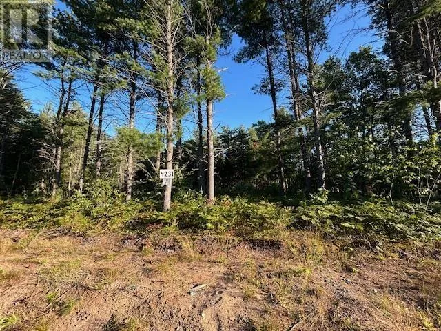 4231 Queen St E, Sault Ste. Marie, Ontario P6A 5K9