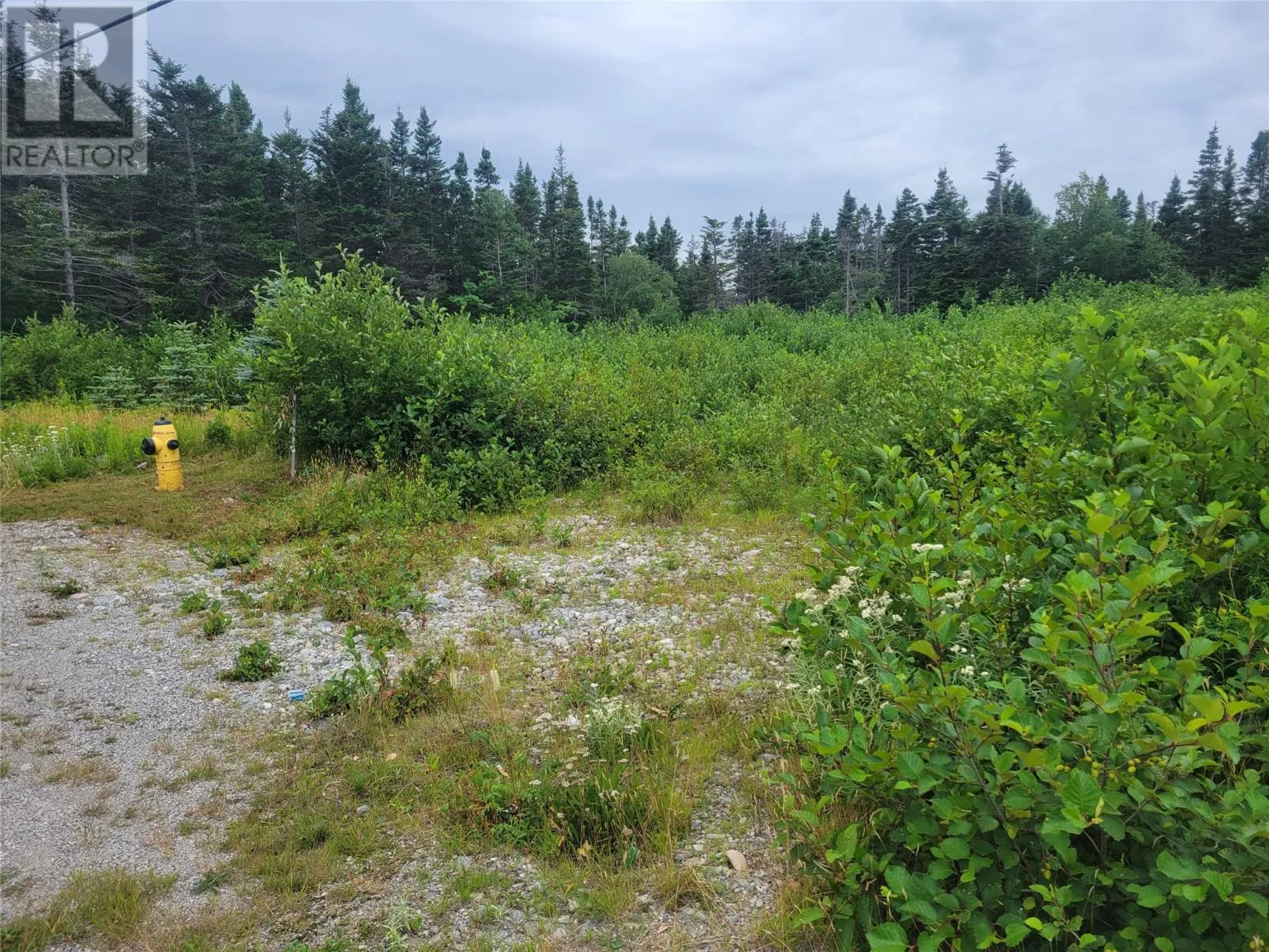 42-46 Courthouse, St Georges, Newfoundland & Labrador A0N 1Z0