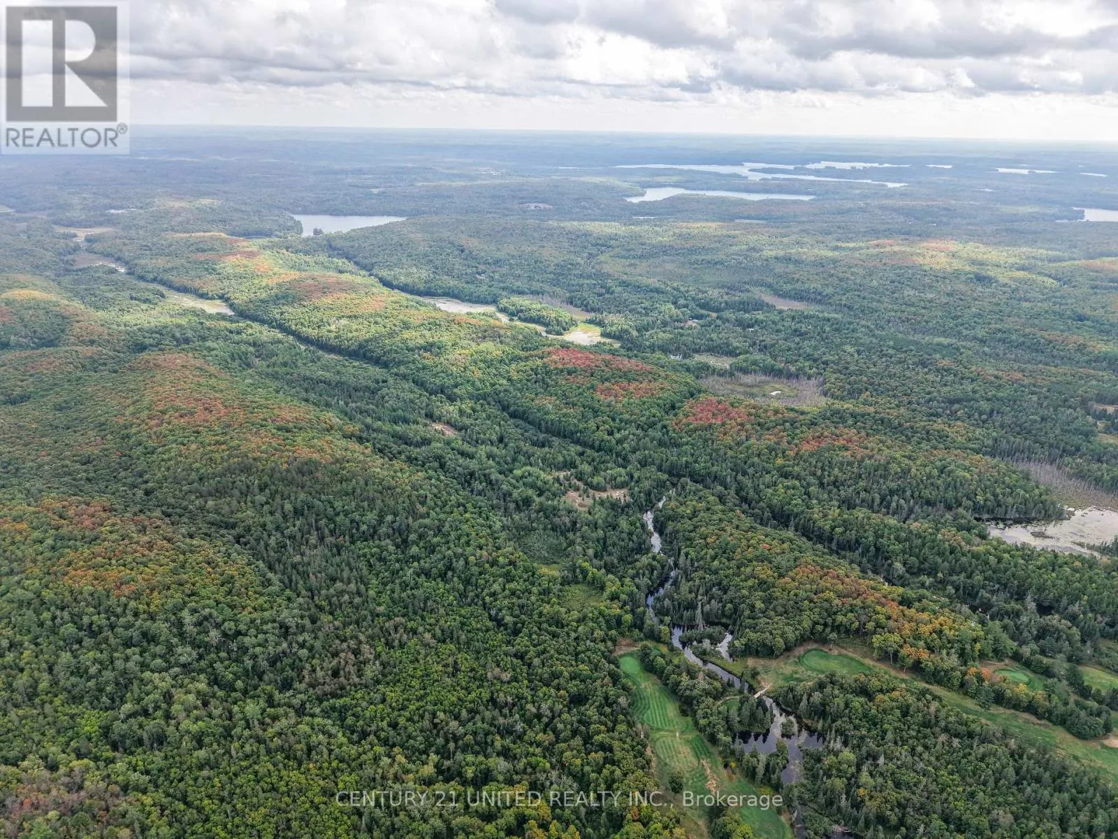 428 Jeff Road, North Kawartha, Ontario K0L 1C0