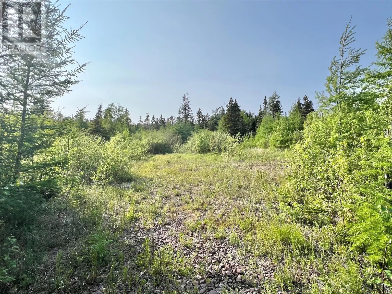 437 Main Street, Northern Arm, Newfoundland & Labrador A0H 1E0