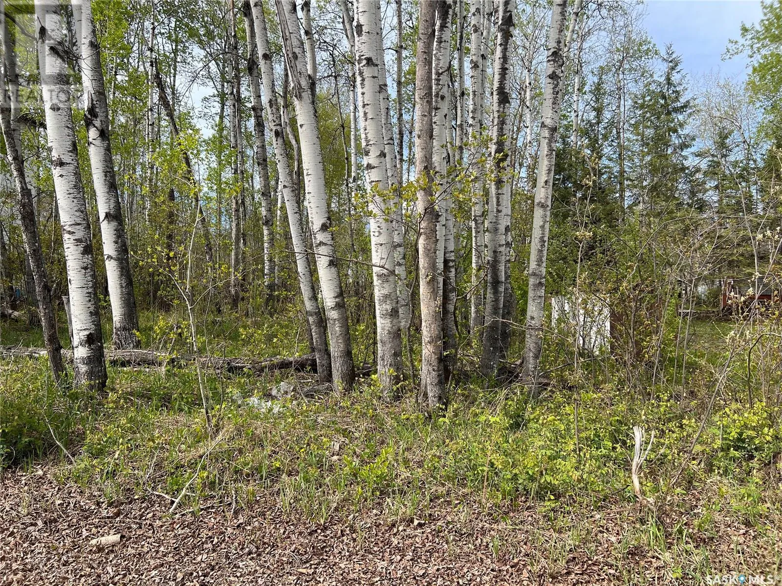 Unknown for rent: 448 Cougar Road, Greenwater Provincial Park, Saskatchewan S0E 1H0