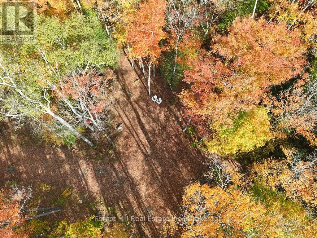 4488 Kawagama Lake Road, Algonquin Highlands, Ontario P0A 1E0