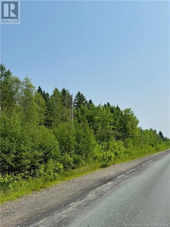 4.5 Hectares Route 118, Chelmsford, New Brunswick E9E 2G8