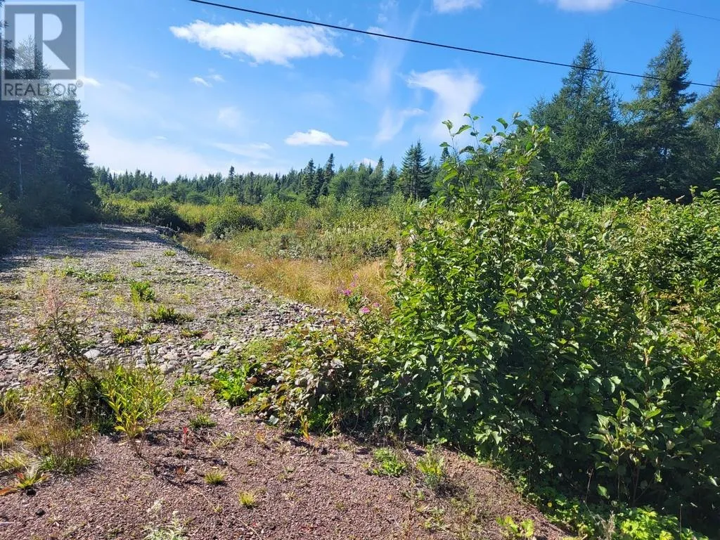 45 Main Street, Northern Arm, Newfoundland & Labrador A0H 1E0