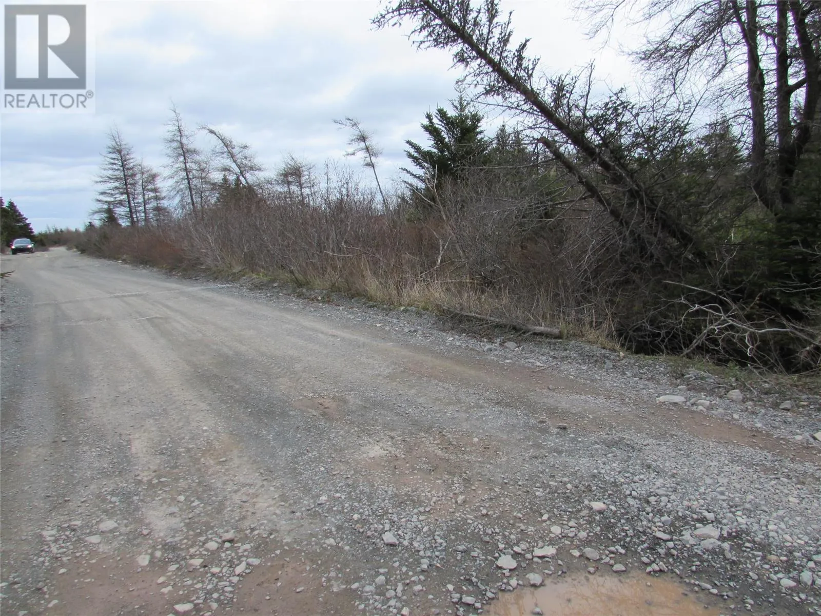 45 New Line Road, Colliers, Newfoundland & Labrador A0A 1Y0