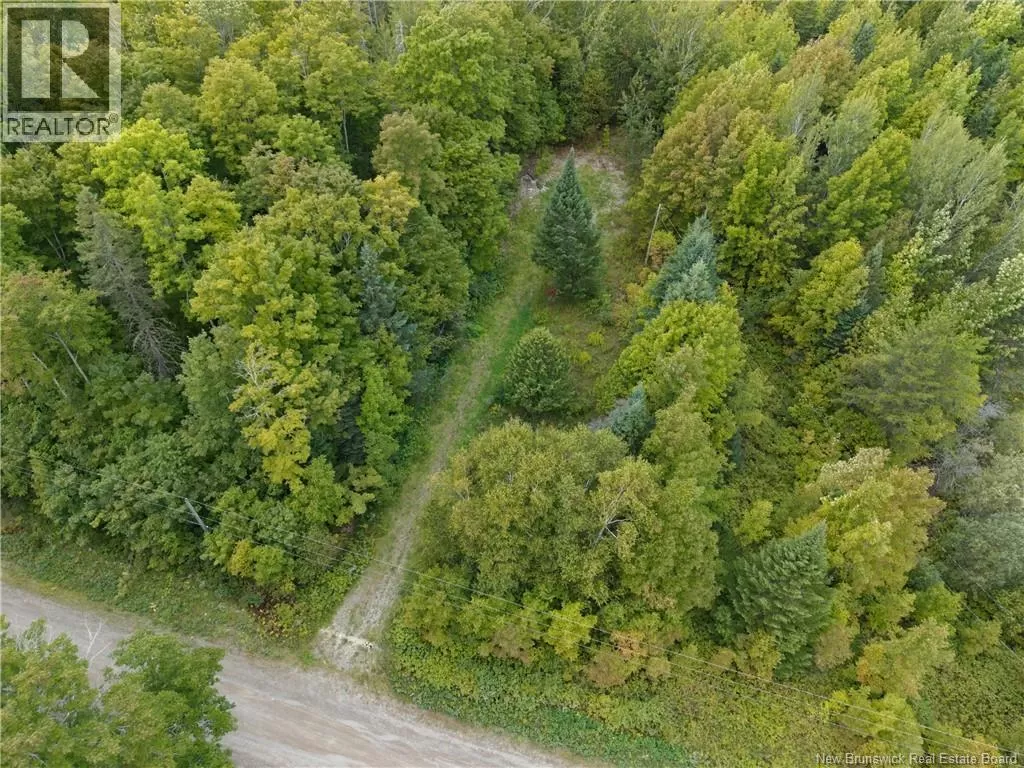 451 Upper Skiff Lake Road, Dead Creek, New Brunswick E6H 1T1