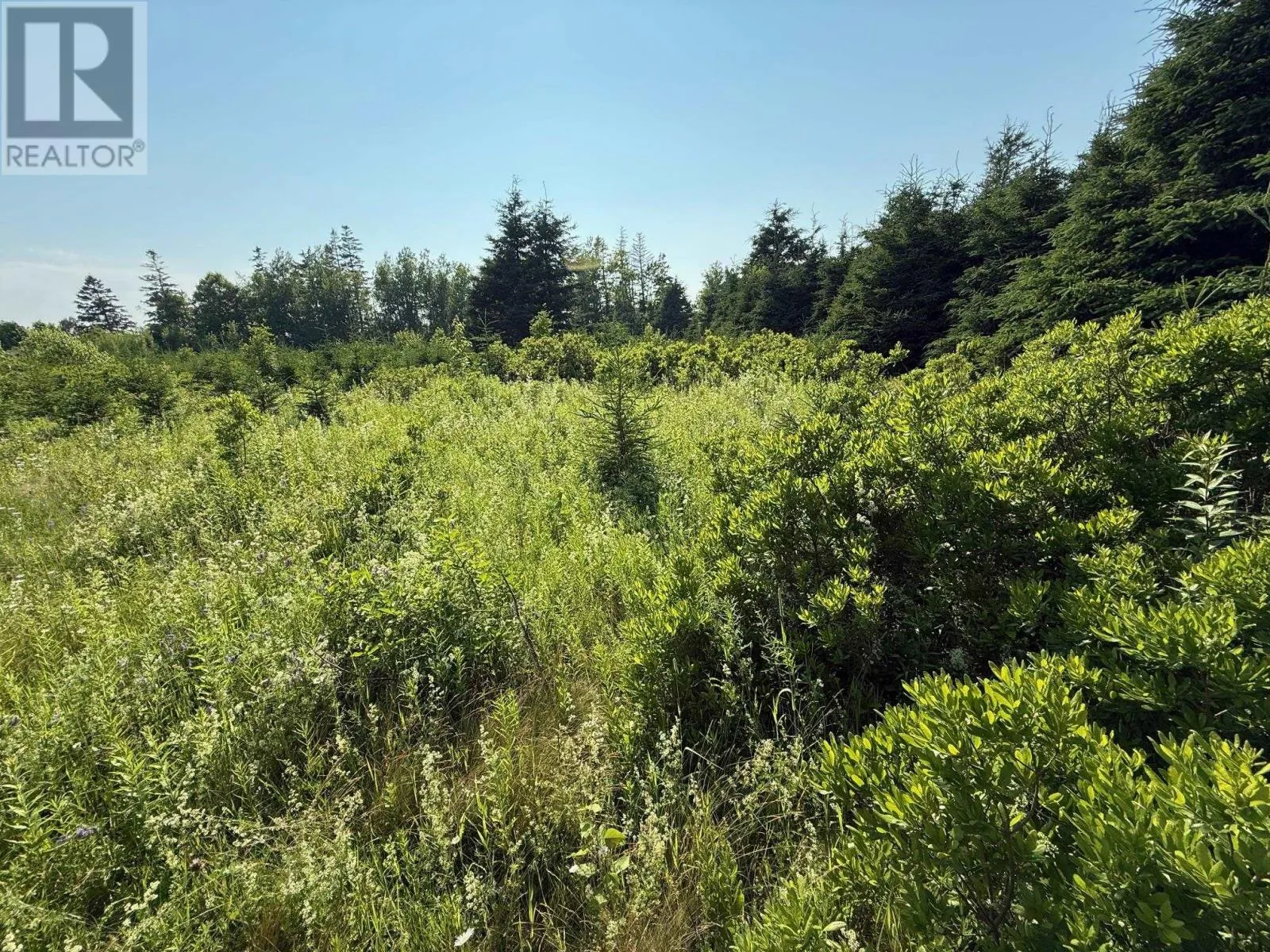 46 Sheri Court, Birch Hill, Prince Edward Island C0B 2C0