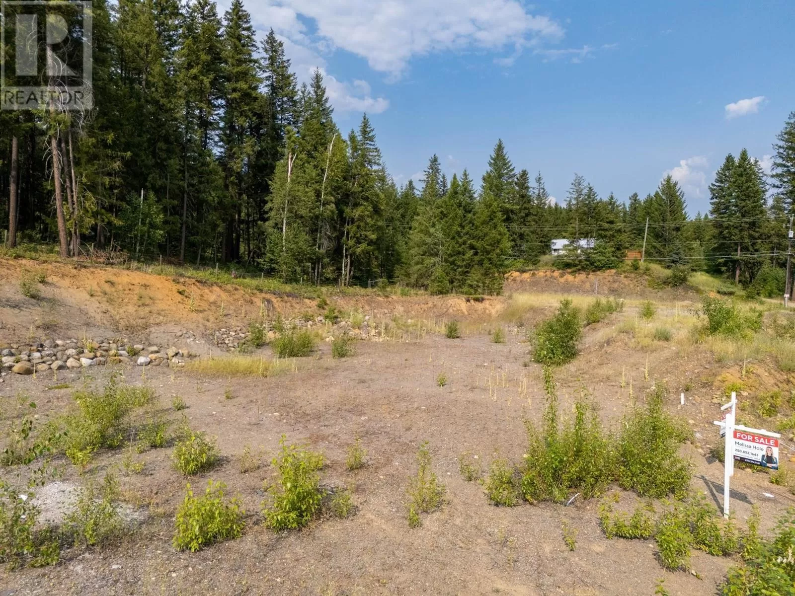 Other for rent: 461 Lytton Crescent, Clearwater, British Columbia V0E 1N2