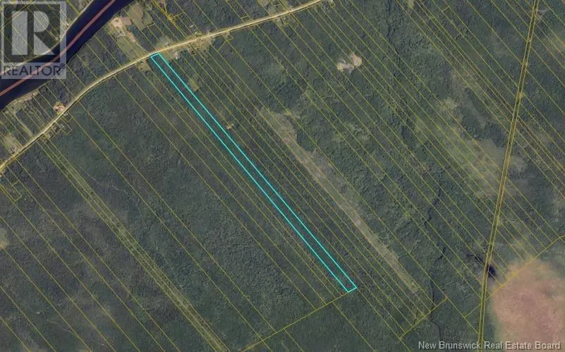47.9 Acres Rte 118, Doyles Brook, New Brunswick E9E 2H9