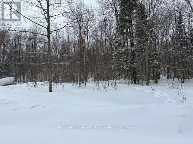 48 Summer Leigh Trail, Huntsville, Ontario P0B 1M0