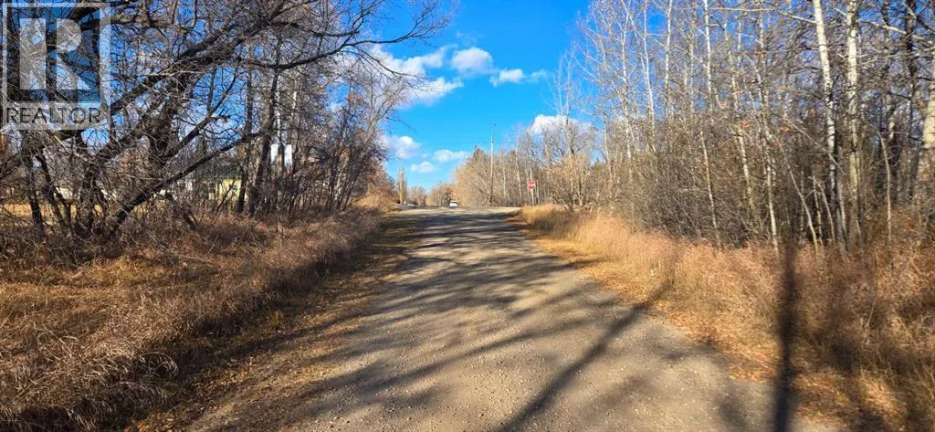 4832 46 Street, Mirror, Alberta T0B 3C0