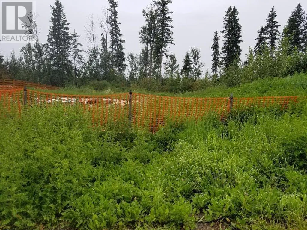 Other for rent: 4841 52 Avenue Sw, Chetwynd, British Columbia V0C 1J0