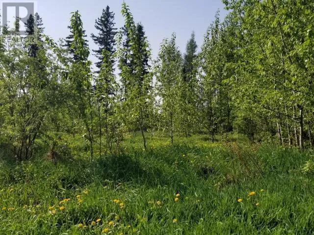 Other for rent: 4845 52 Avenue Sw, Chetwynd, British Columbia V0C 1J0