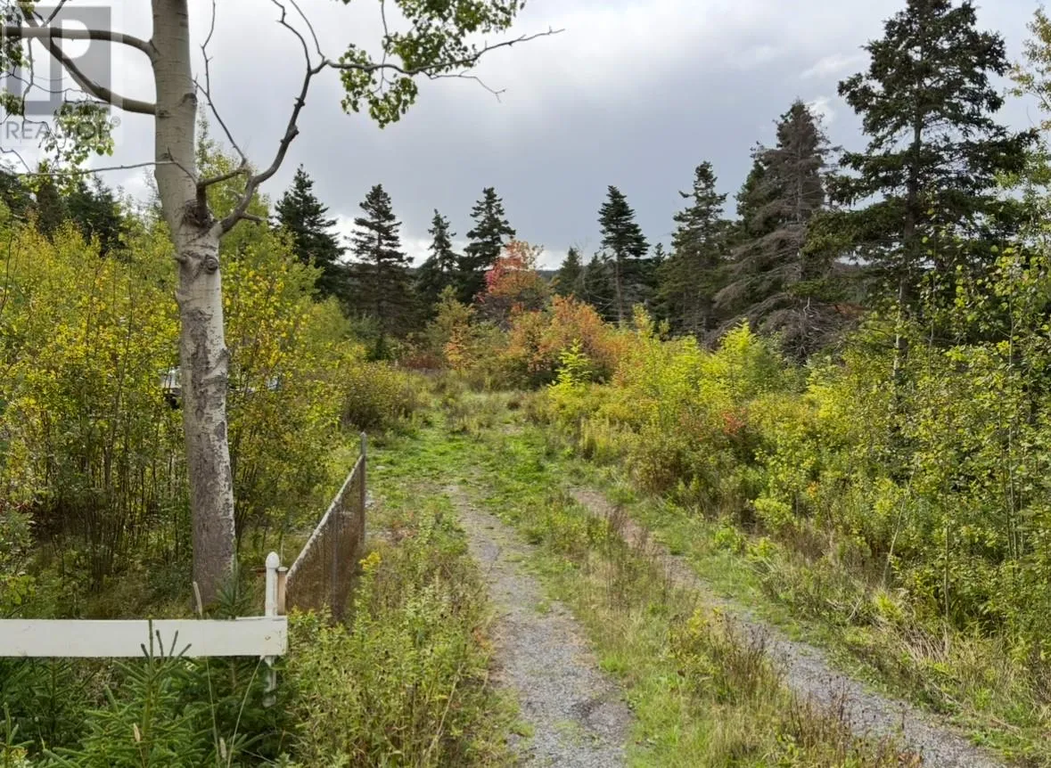 48-50 East Highway, Victoria, Newfoundland & Labrador A0A 3B0