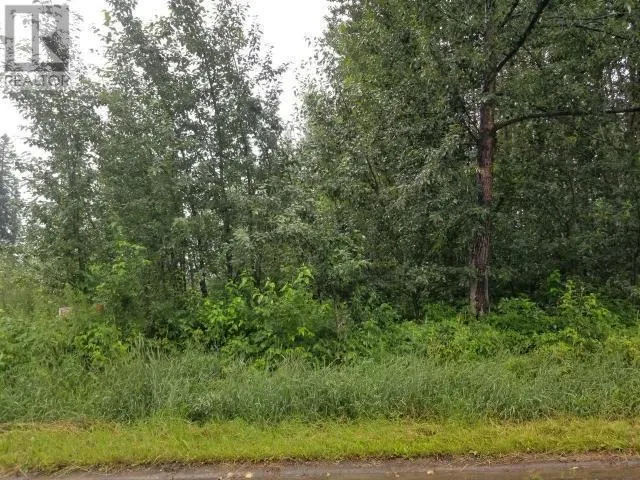 Other for rent: 4853 52 Avenue, Chetwynd, British Columbia V0C 1J0