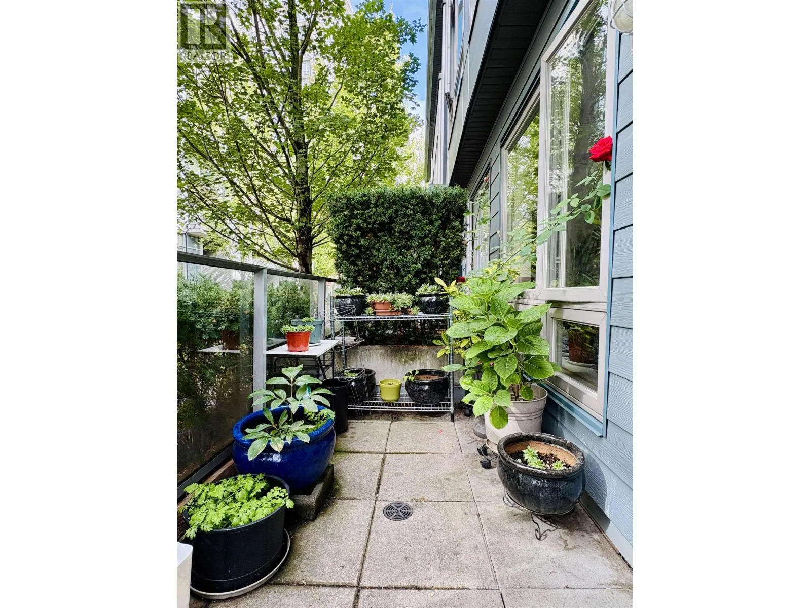 Row / Townhouse for rent: 4886 Eldorado Mews, Vancouver, British Columbia V5R 0B1