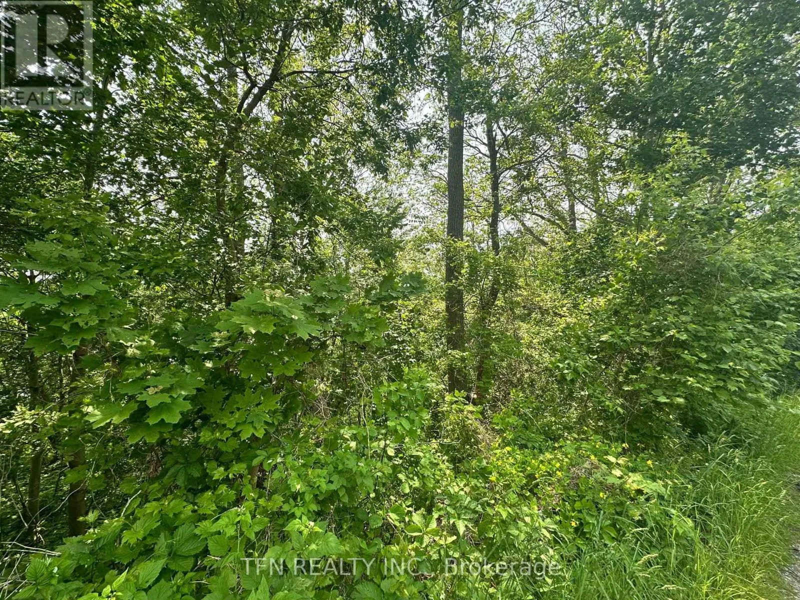 489 Caithness Street E, Haldimand, Ontario N3W 1B2