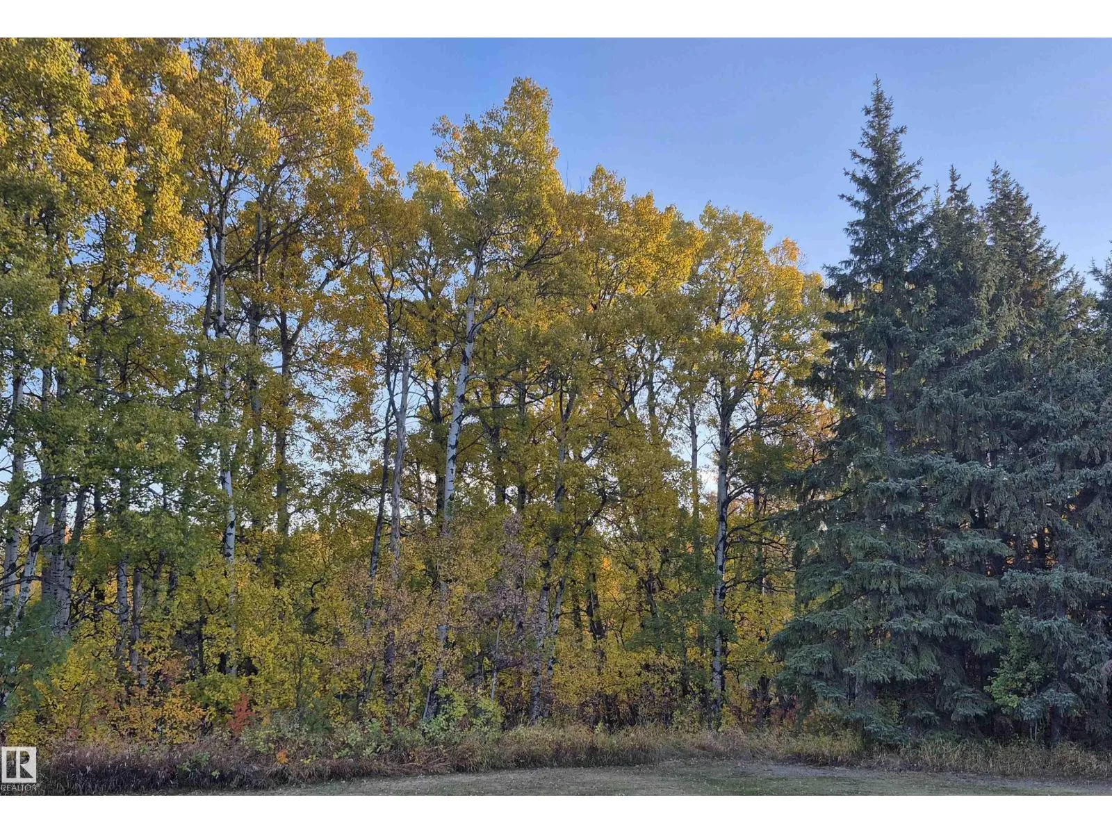 No Building for rent: #49 50322 Rge Road 10, Rural Parkland County, Alberta T7Y 2A1