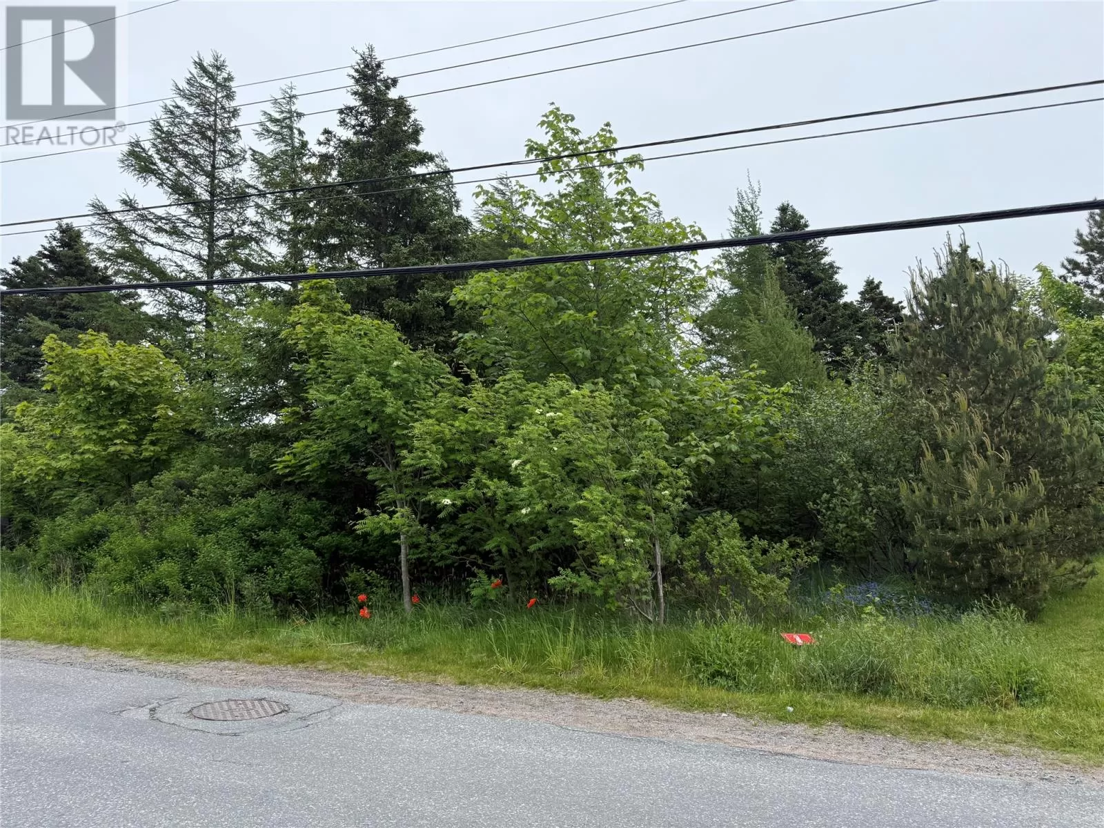 49 Back Road, Upper Island Cove, Newfoundland & Labrador A0A 4E0