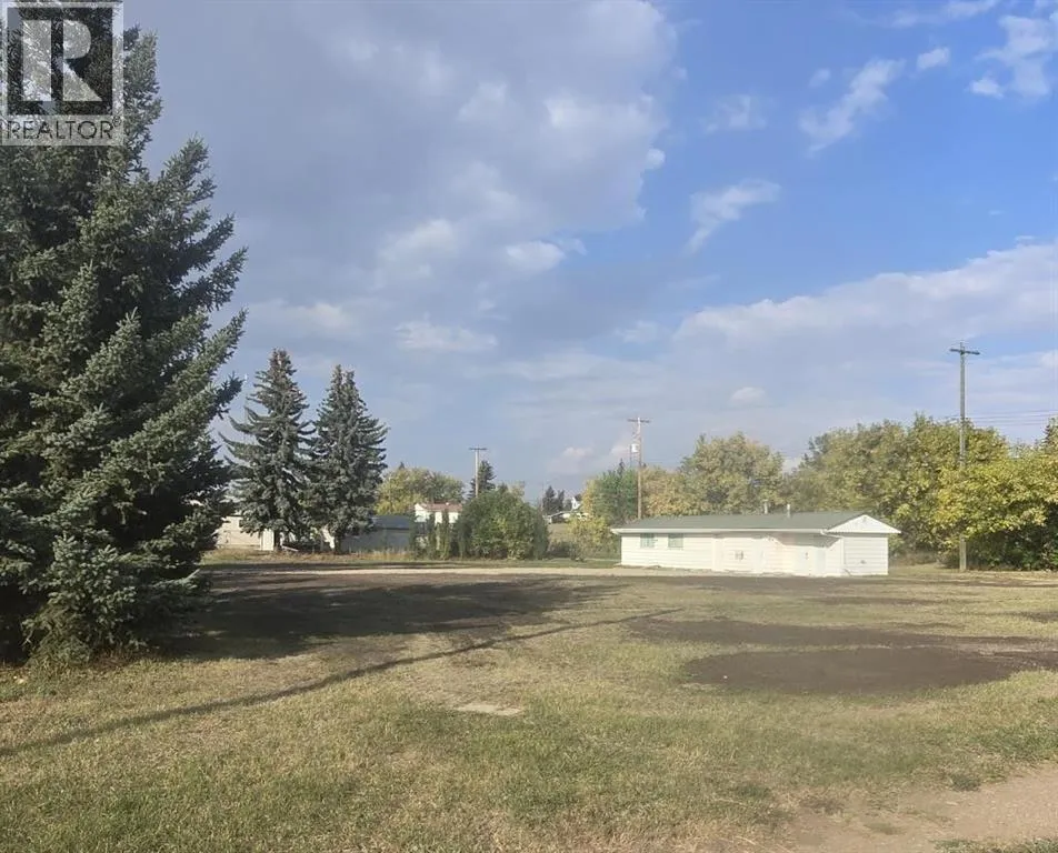 4910 48 Street, Sedgewick, Alberta T0B 4C0