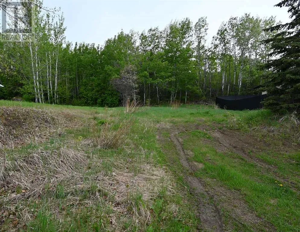 4912 59 Street, Athabasca, Alberta T9S 1L6