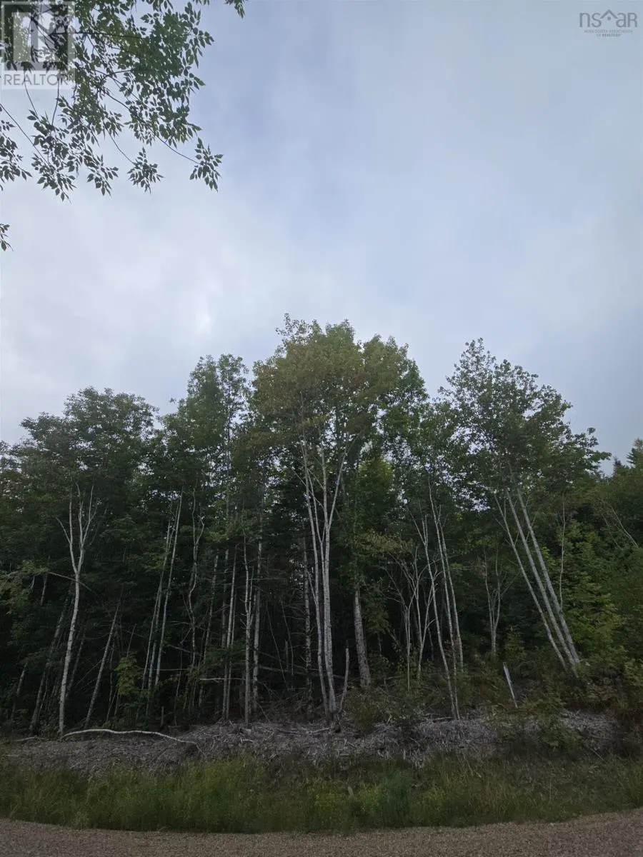 5 Lot  5 Lochiel Lake (west Side), Lochiel Lake, Nova Scotia B2G 2L3