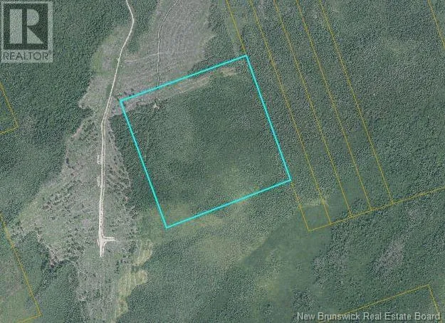 50 Acres Route 117, Hardwicke, New Brunswick E9A 1L6