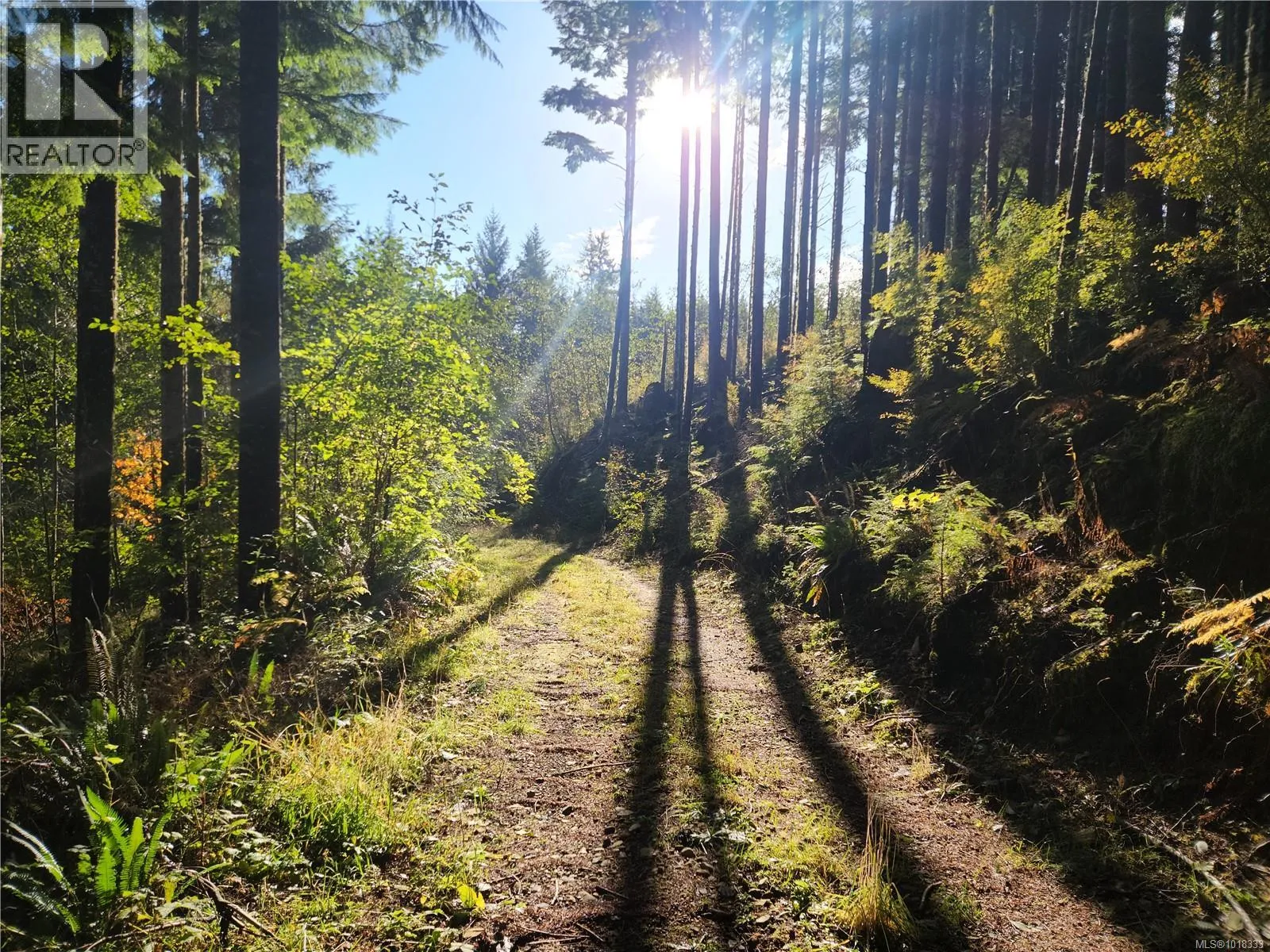 50 Murrelet Close, Sooke, British Columbia V9Z 1K2