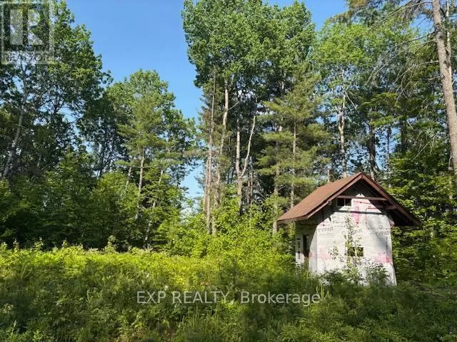 501 Arbor Vitae Road, Madawaska Valley, Ontario K0J 1B0