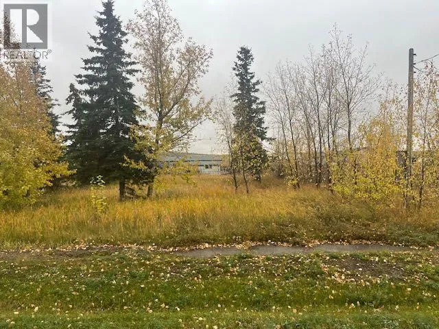 5023 50 Avenue, Woking, Alberta T0H 3G0