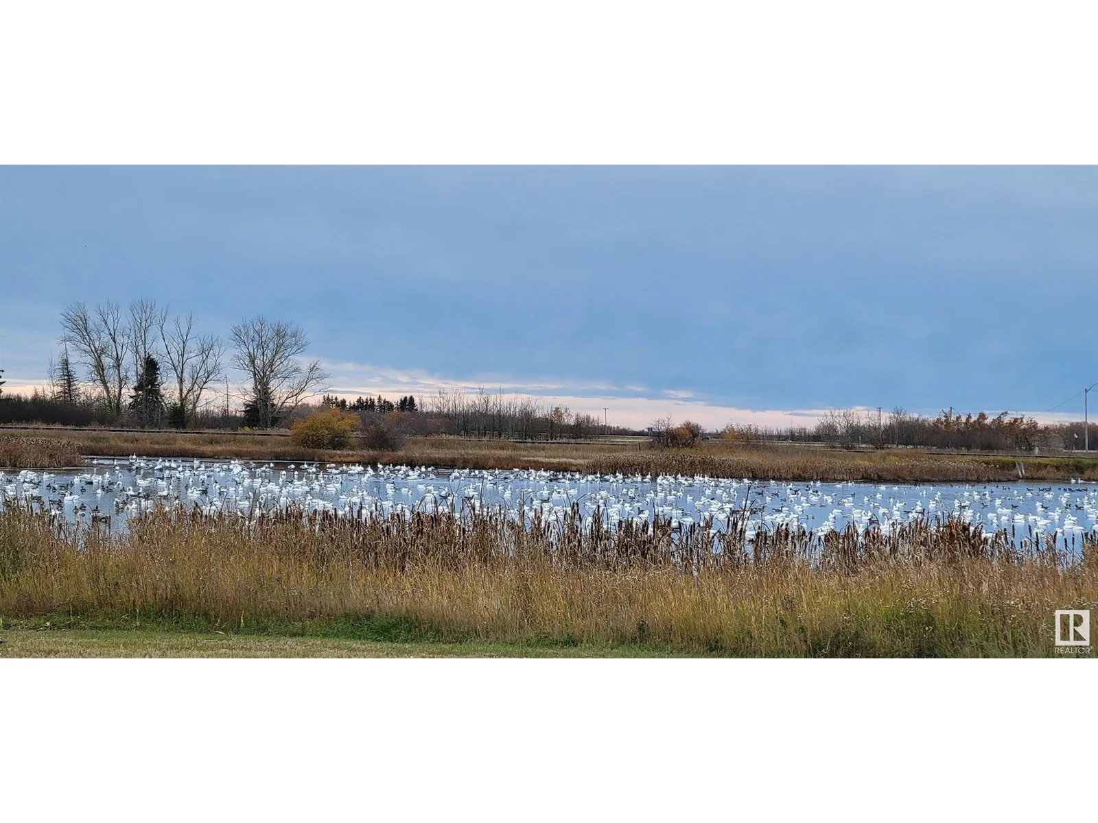 No Building for rent: 5028 50 Av, Holden, Alberta T0B 2C0