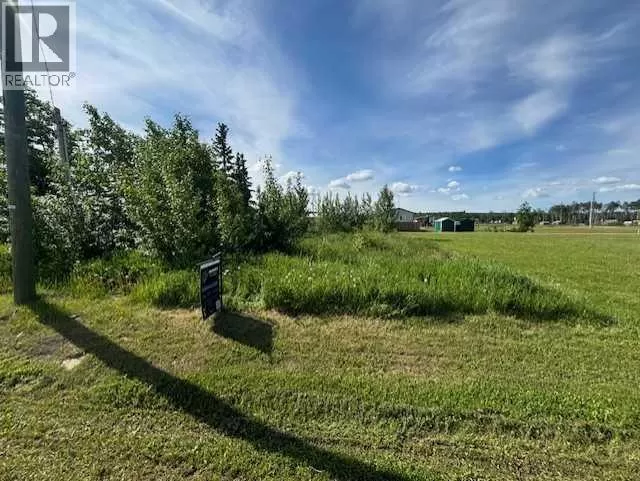 5031 50 Avenue, Woking, Alberta T0H 3V0