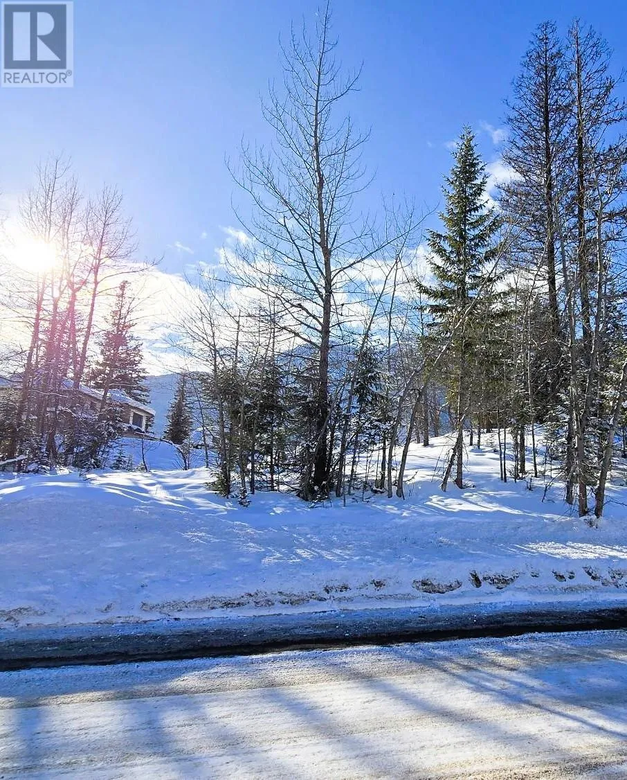 Other for rent: 51 Cariboo Drive, Elkford, British Columbia V0B 1H0