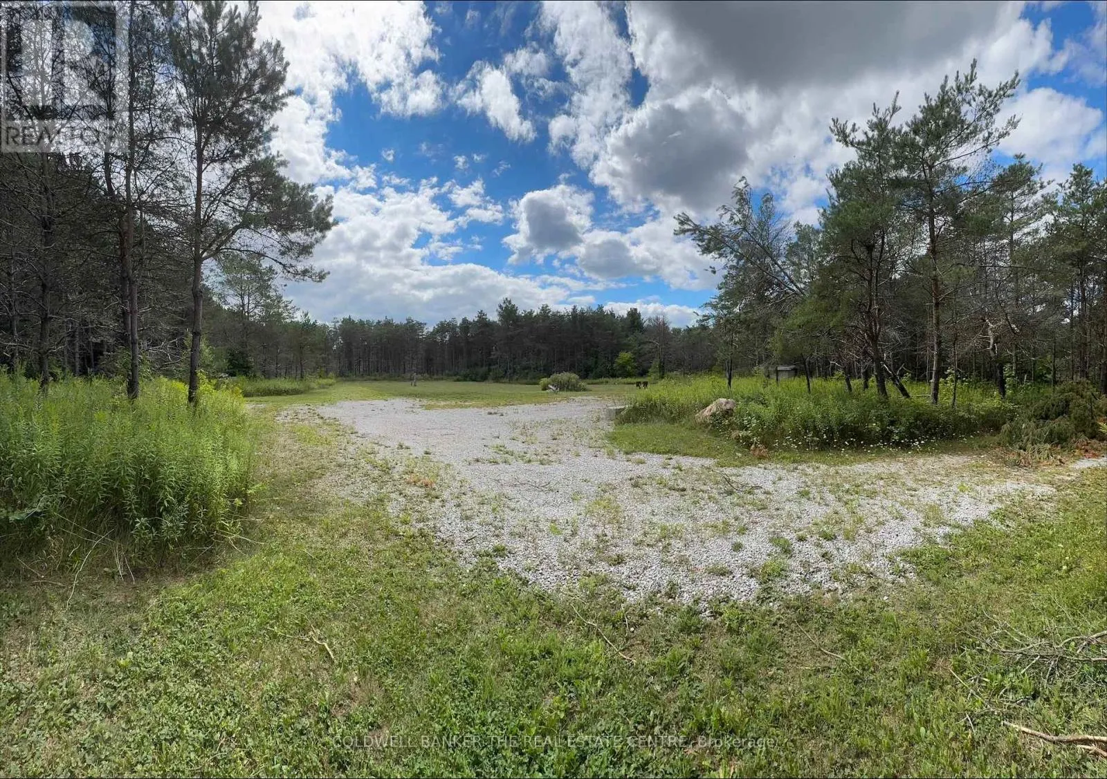 511 Wagg Road, Uxbridge, Ontario L9P 1R4