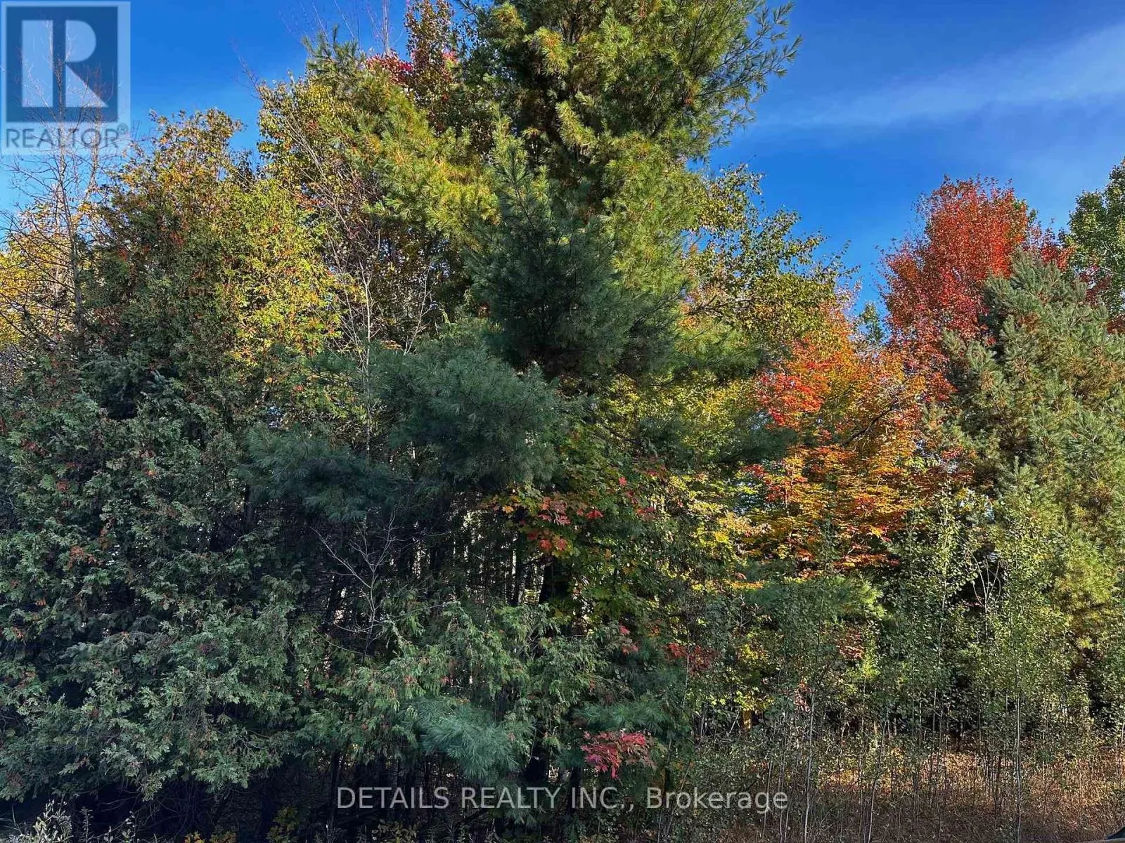 515 Vances Side Road N, Ottawa, Ontario K0A 1T0