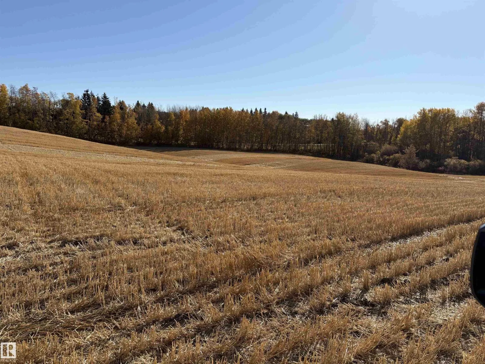 No Building for rent: 53114 Rge Rd 22 (l3; B1), Rural Parkland County, Alberta T0B 0H0